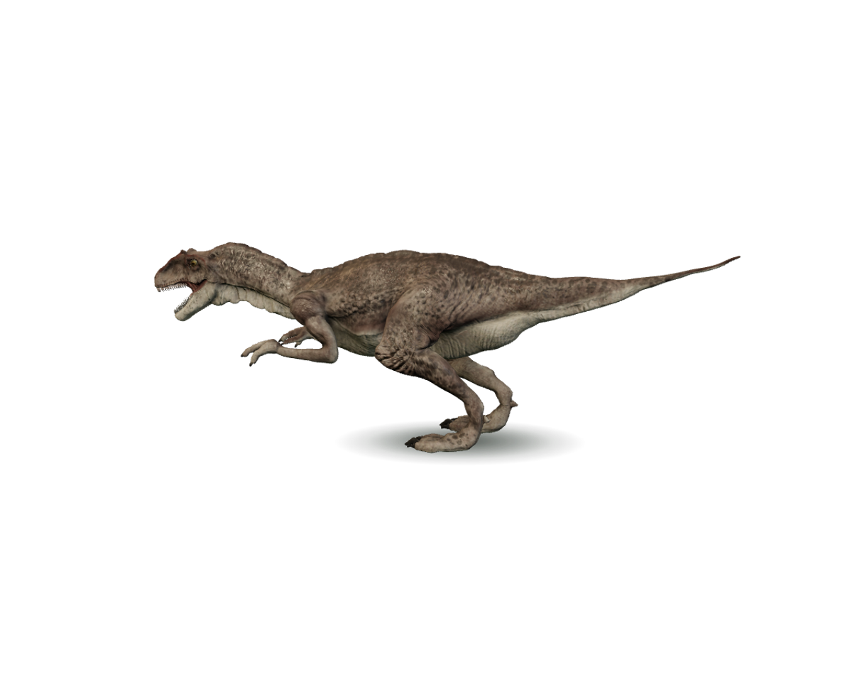 Still model of Allosaurus on a transparent background