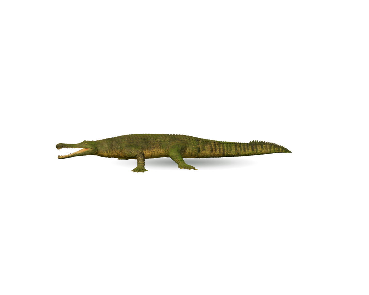 Still model of Sarcosuchus on a transparent background