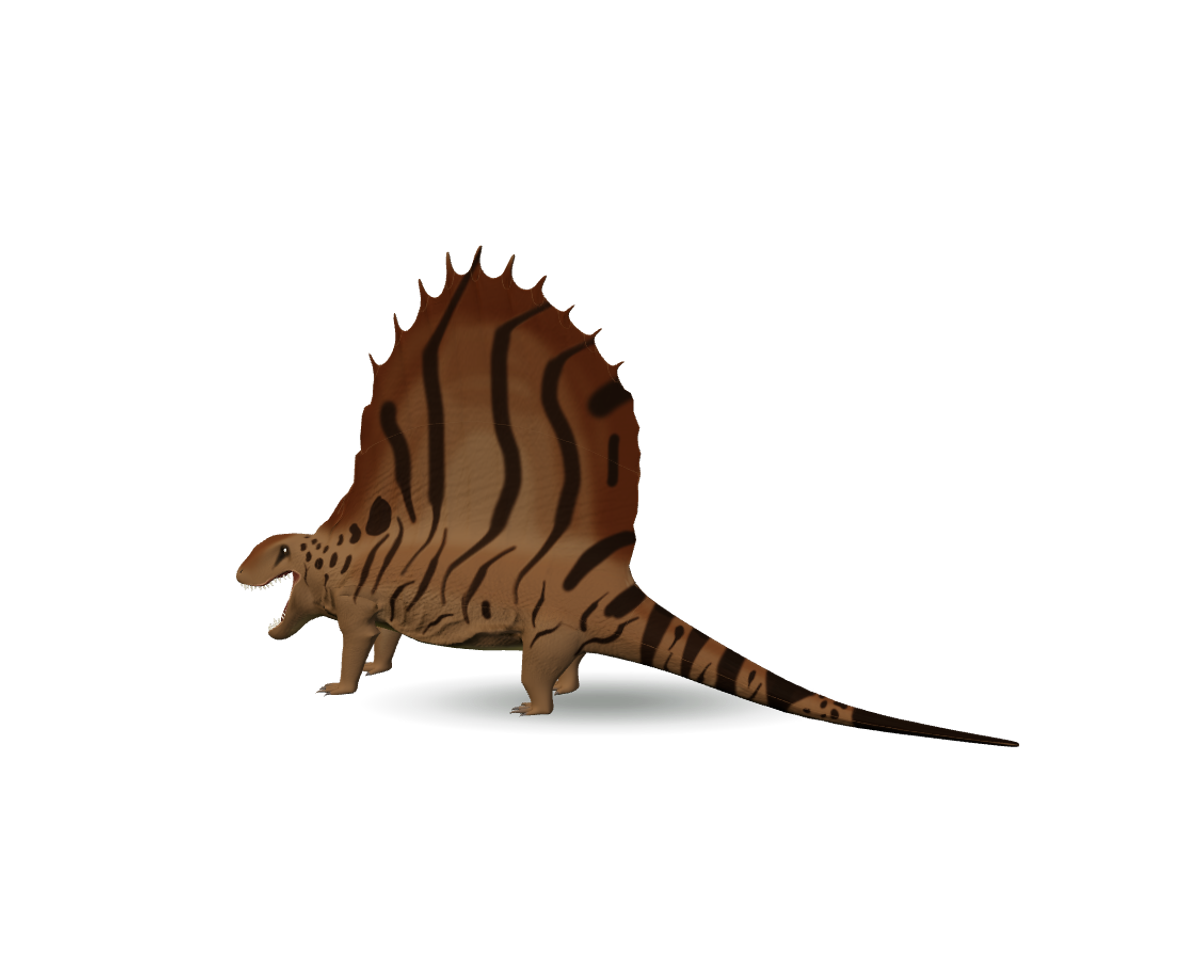 Still model of Dimetrodon on a transparent background