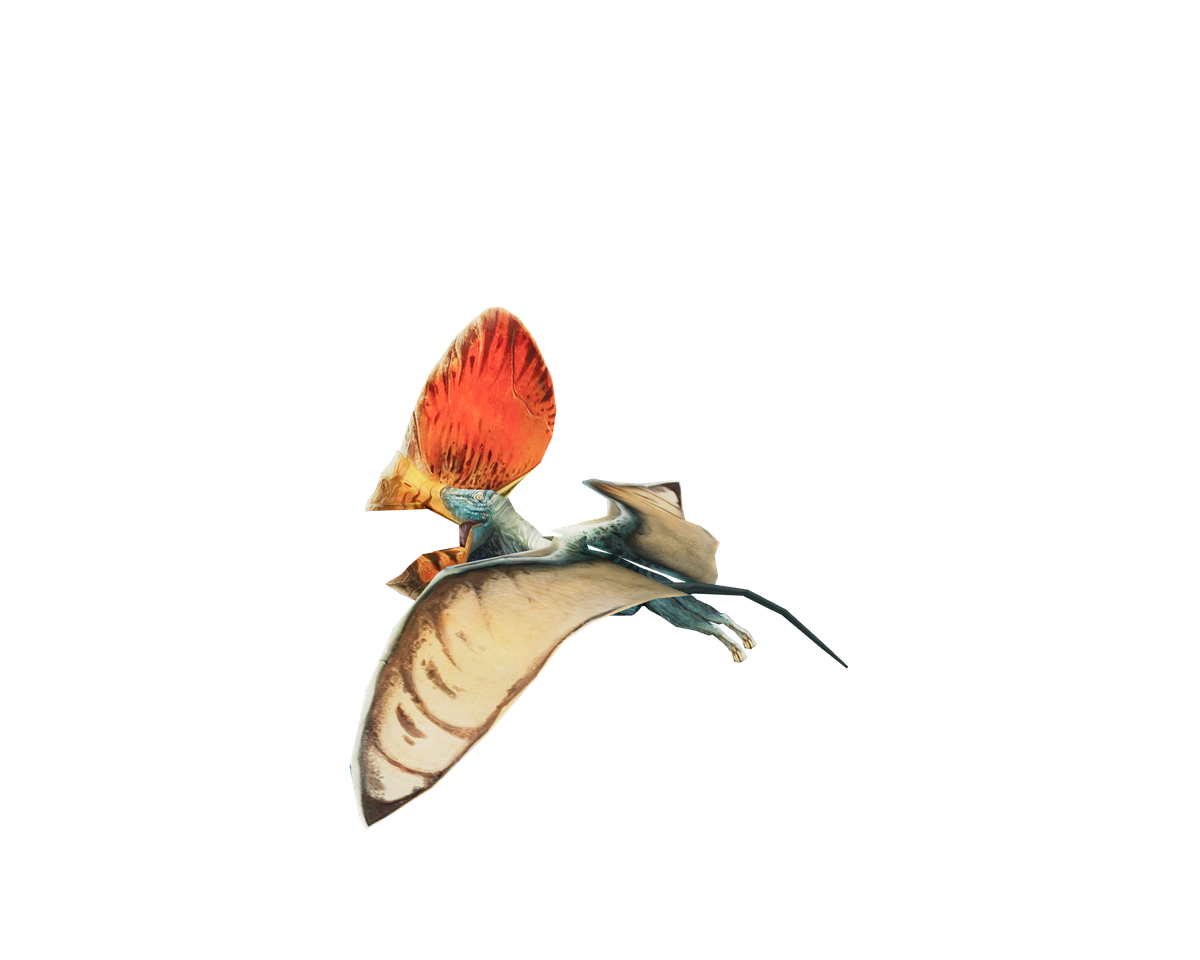 Still model of Tupandactylus on a transparent background
