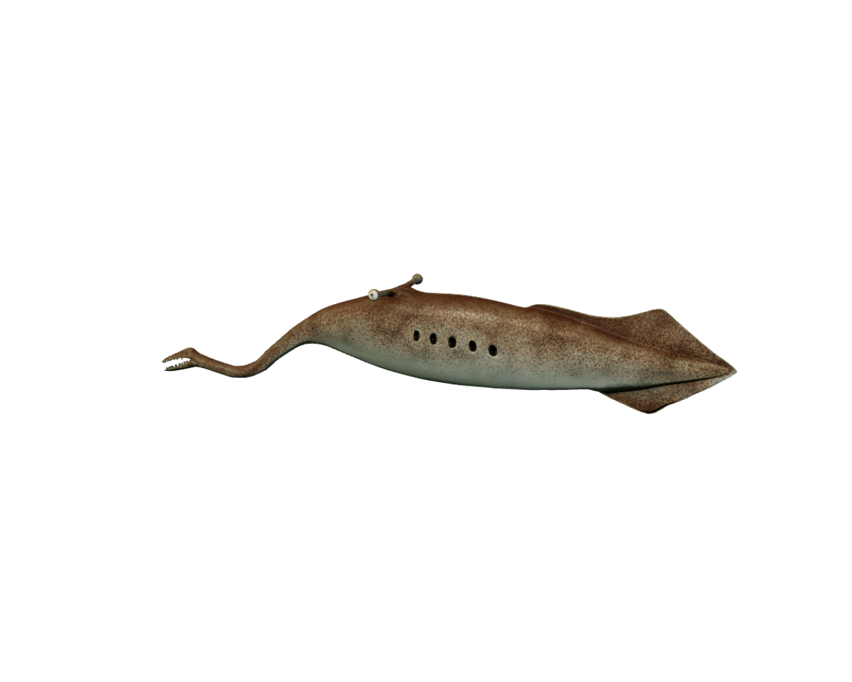 Still model of Tully monster on a transparent background