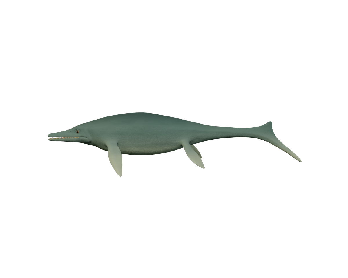 Still model of Ichthyosaurs on a transparent background