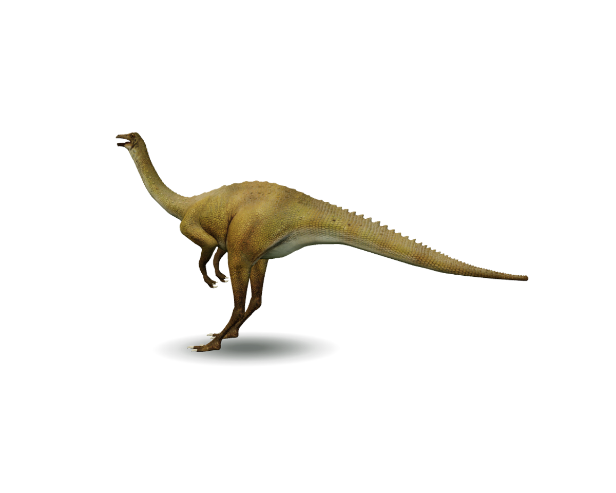 Still model of Gallimimus on a transparent background