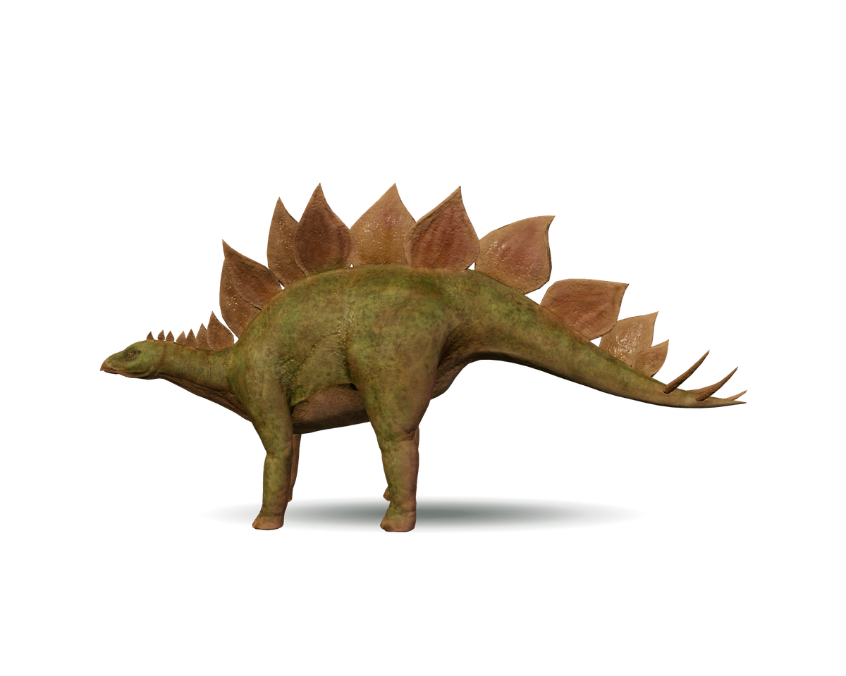 Still model of Stegosaurus on a transparent background
