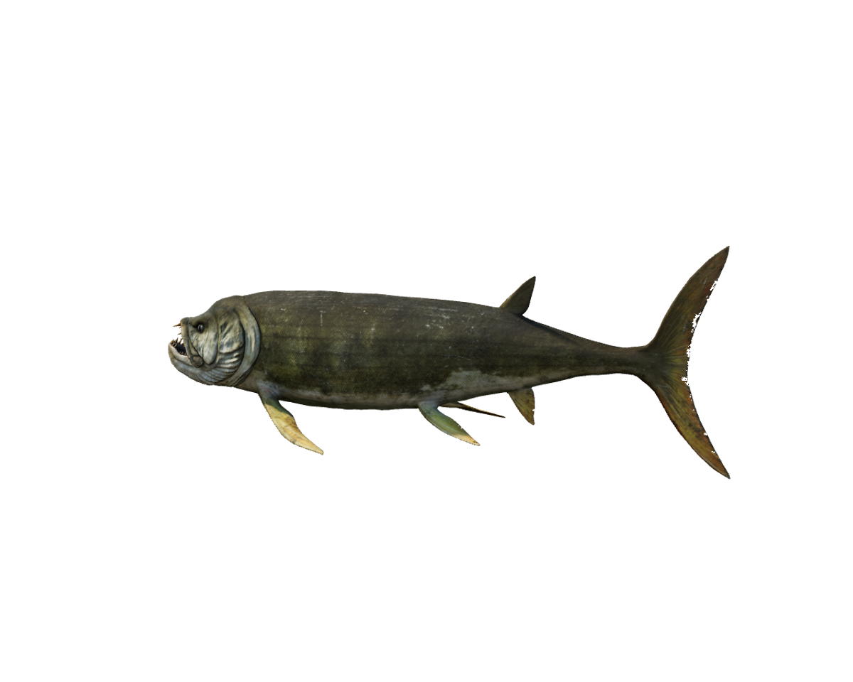 Still model of Xiphactinus on a transparent background
