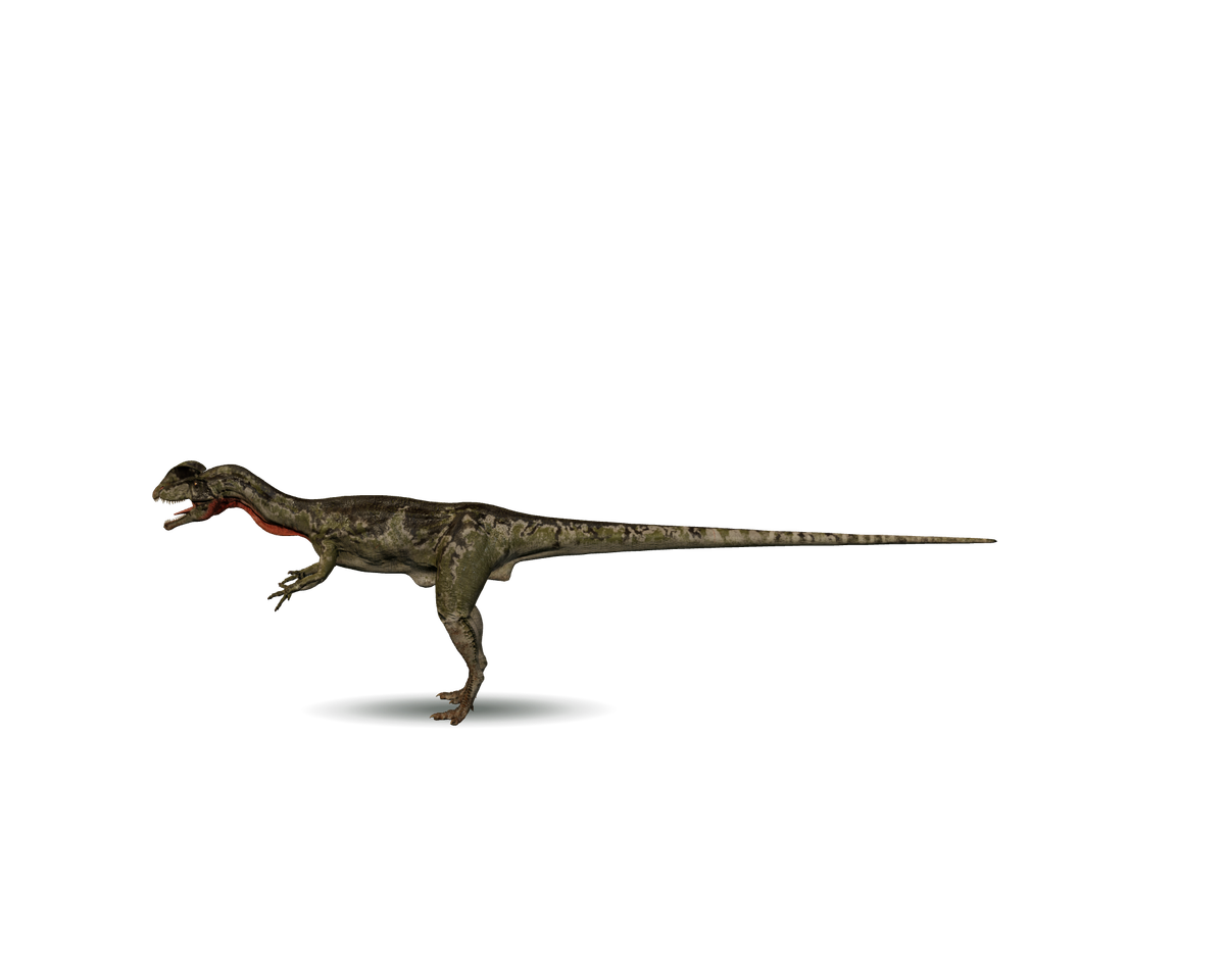 Still model of Dilophosaurus on a transparent background