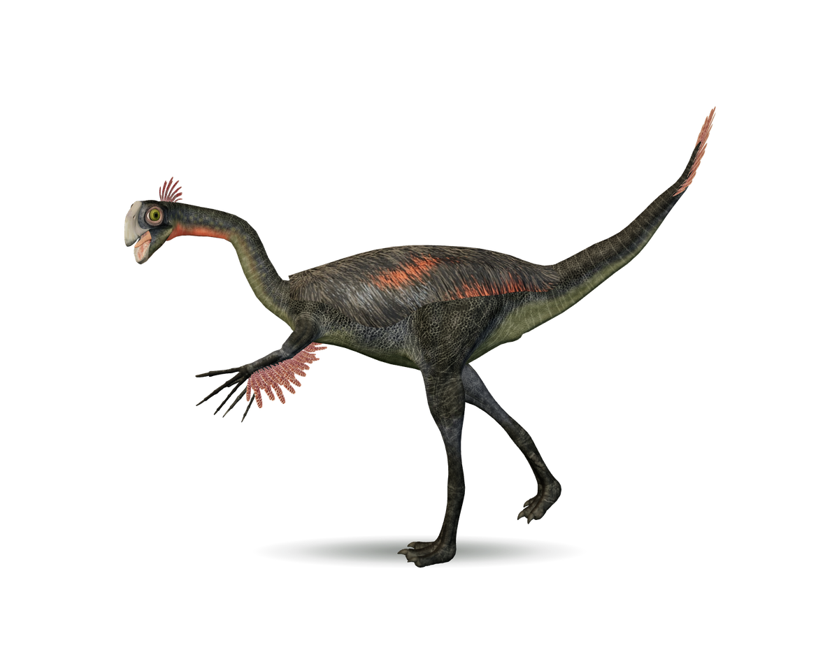 Still model of Gigantoraptor on a transparent background