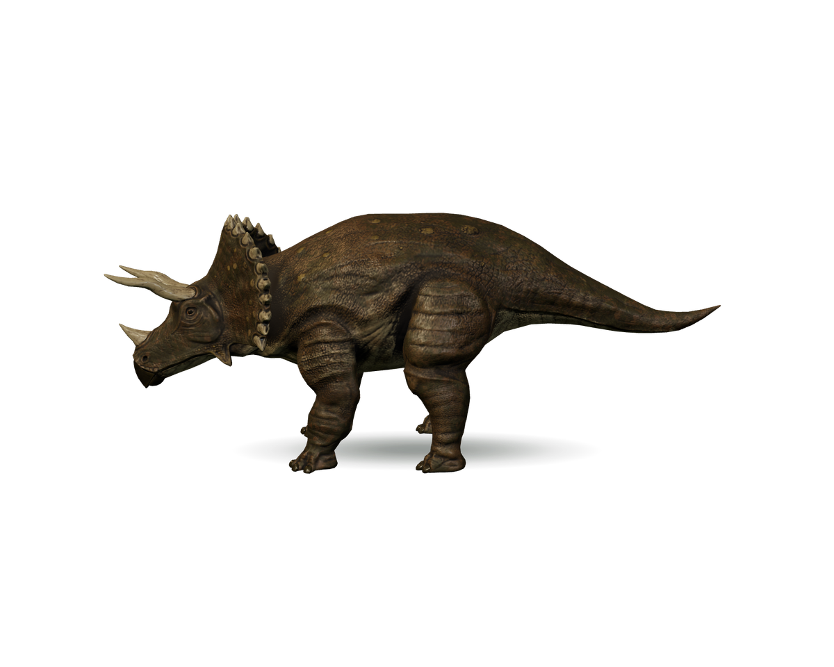 Still model of Triceratops on a transparent background