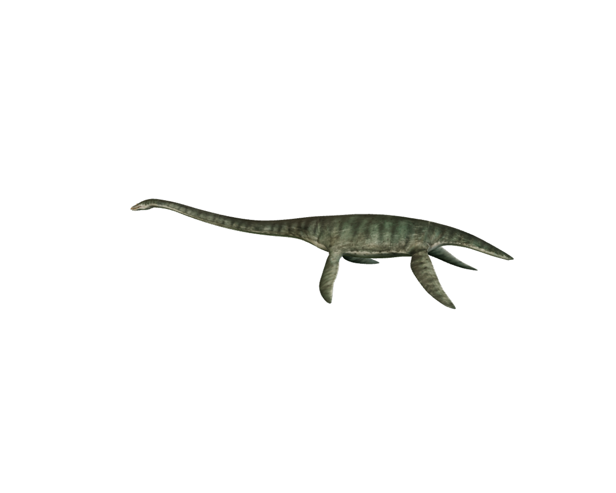 Still model of Styxosaurus on a transparent background