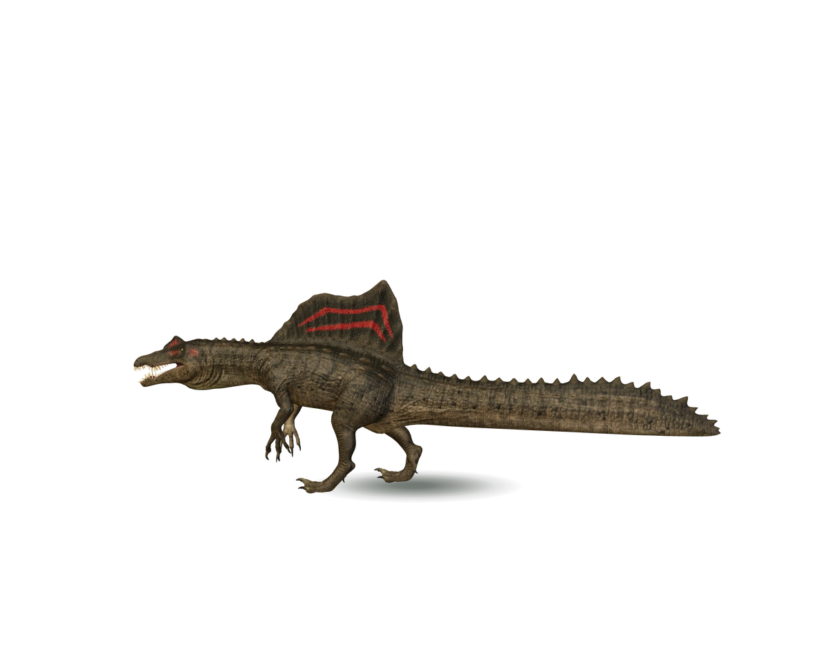 Still model of Spinosaurus on a transparent background