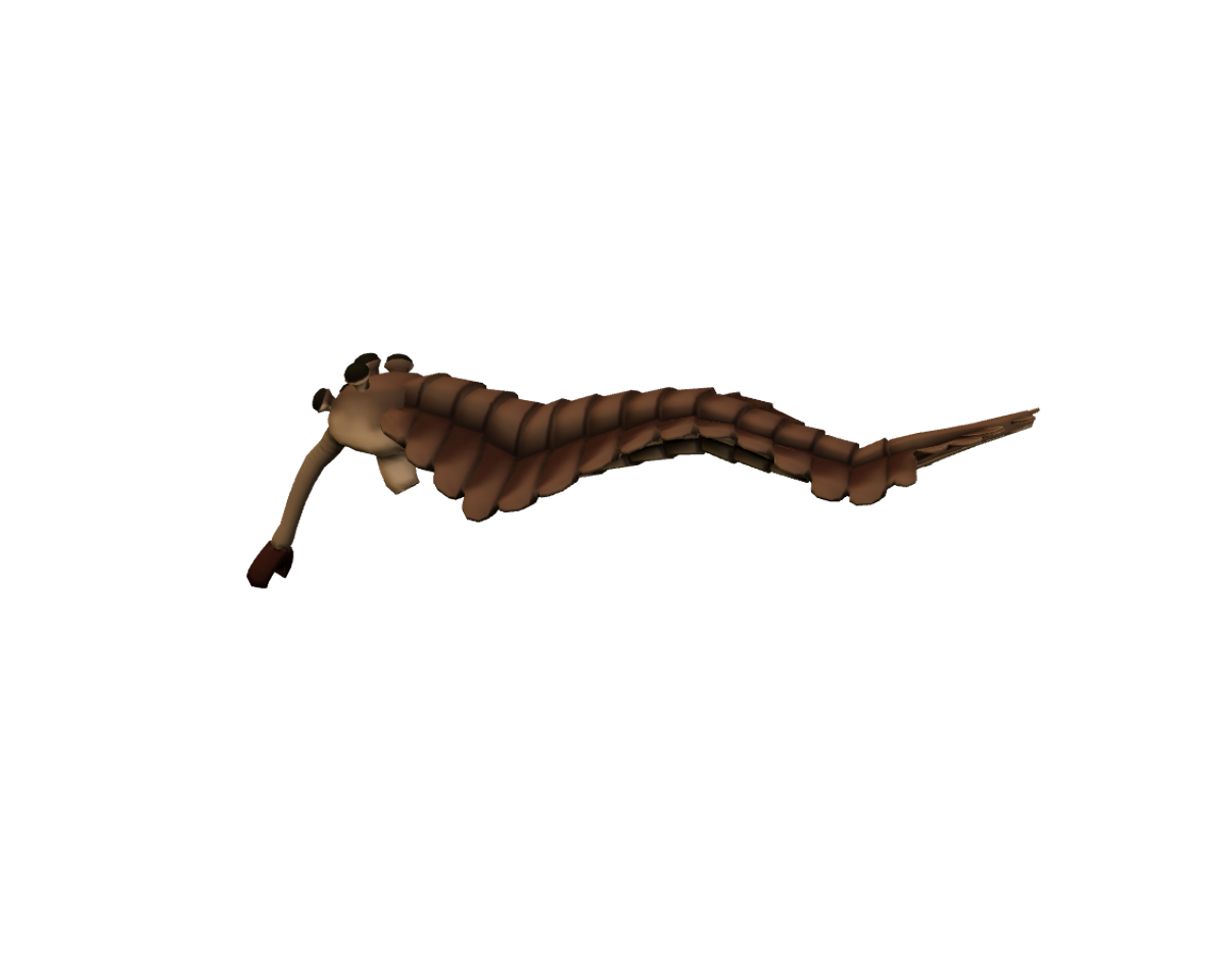 Still model of Opabinia on a transparent background