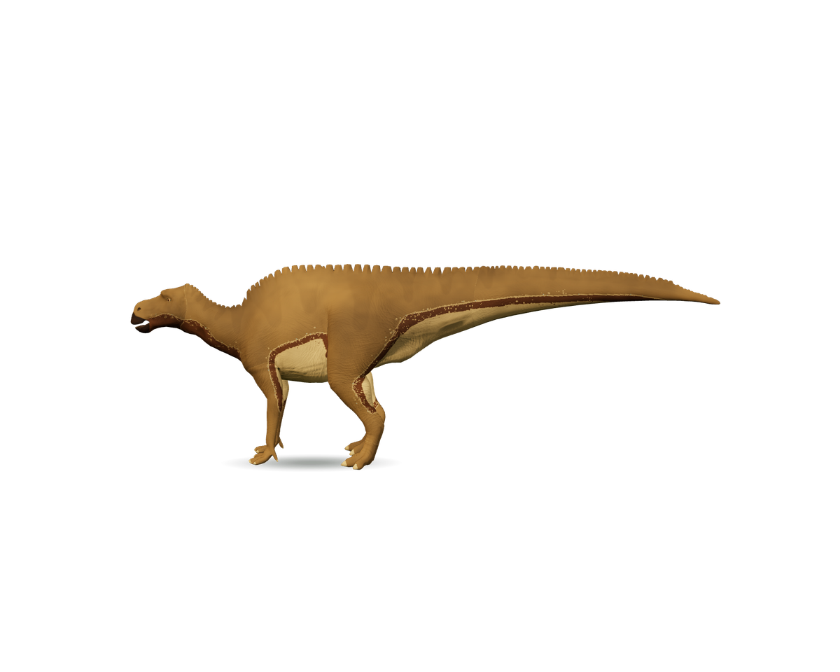 Still model of Maiasaura on a transparent background
