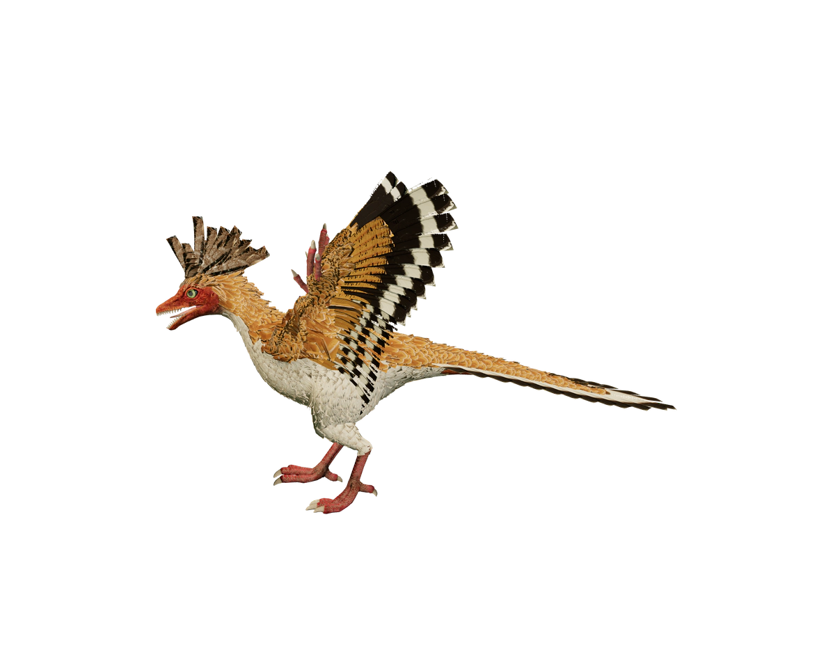 Still model of Archaeopteryx on a transparent background