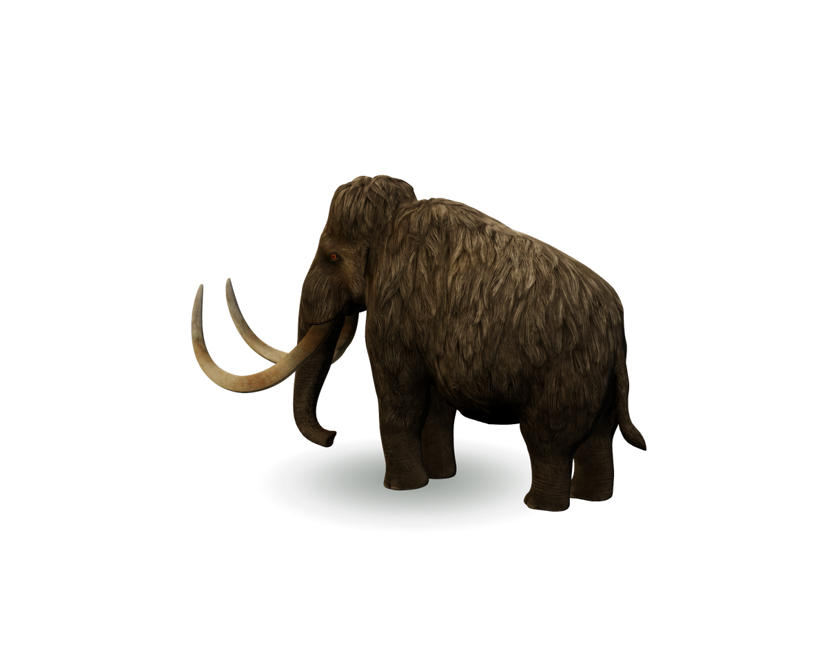 Still model of Woolly mammoth on a transparent background