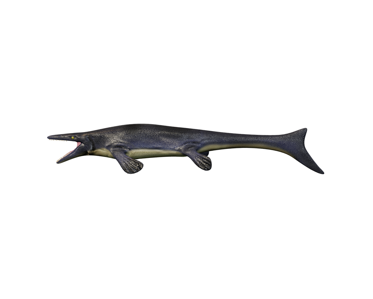 Still model of Mosasaurus on a transparent background