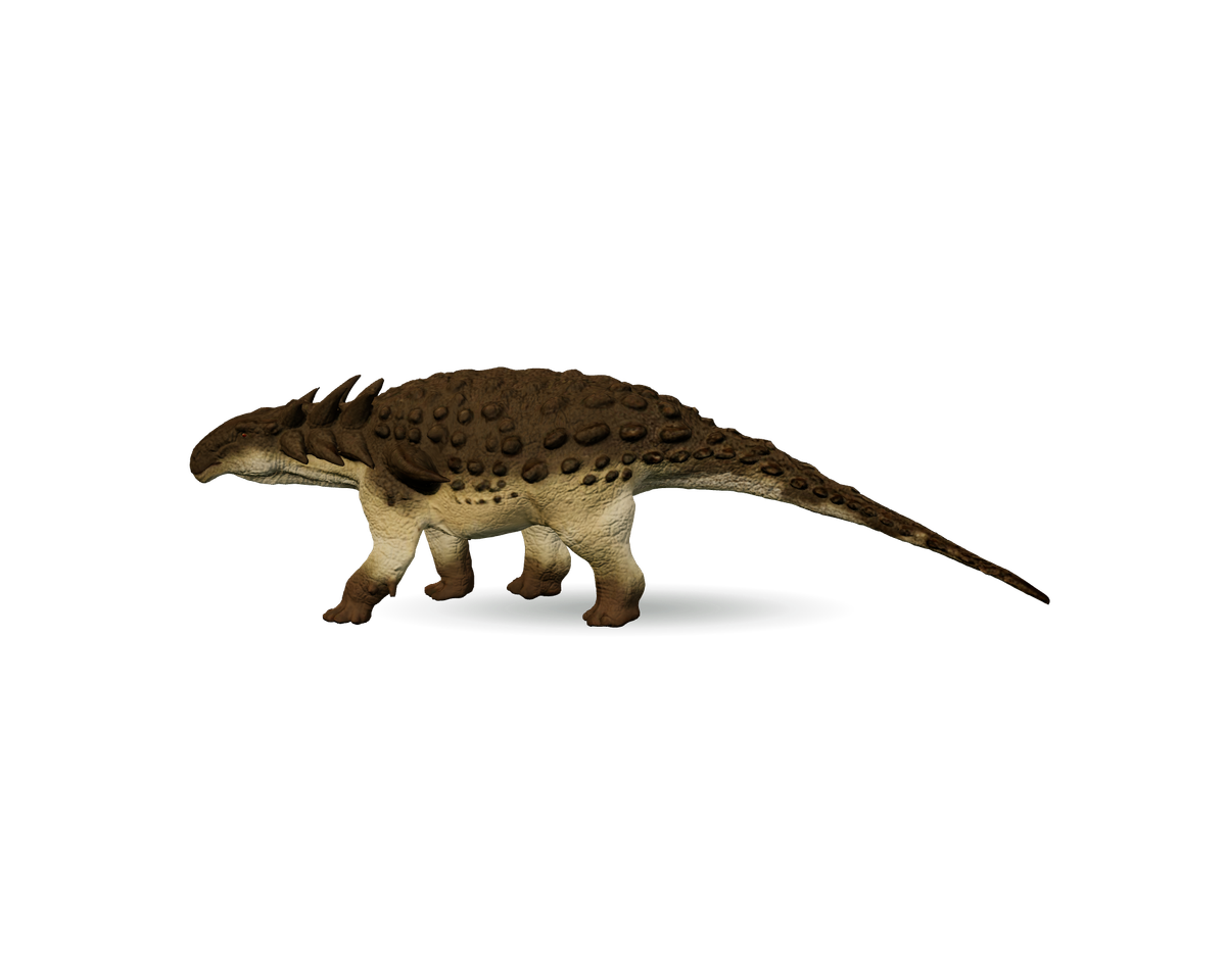 Still model of Sauropelta on a transparent background