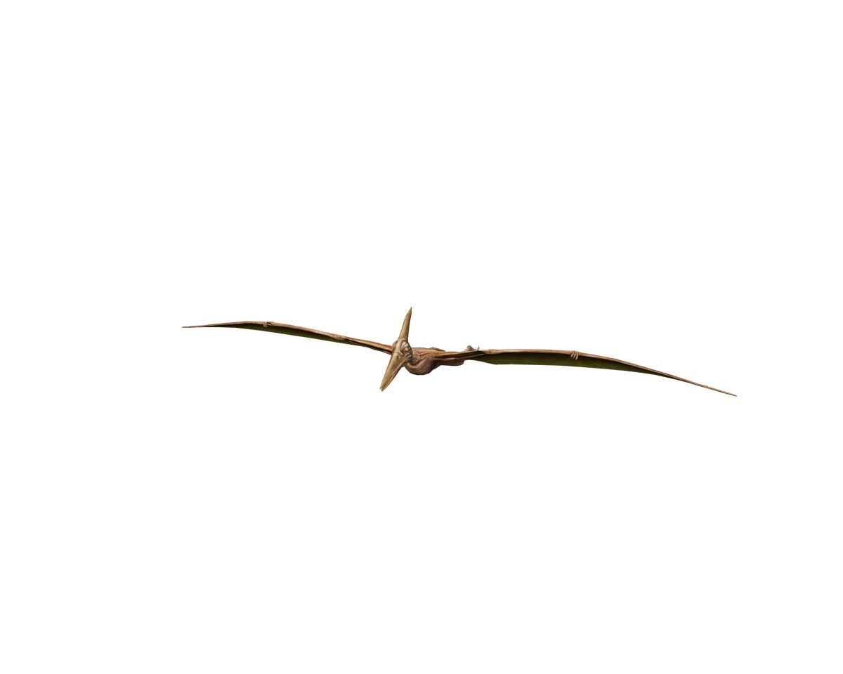 Still model of Pteranodon on a transparent background